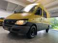 Mercedes-Benz Sprinter 316 CDI Mixto Hoch+Lang *Klima* Žlutá - thumbnail 18