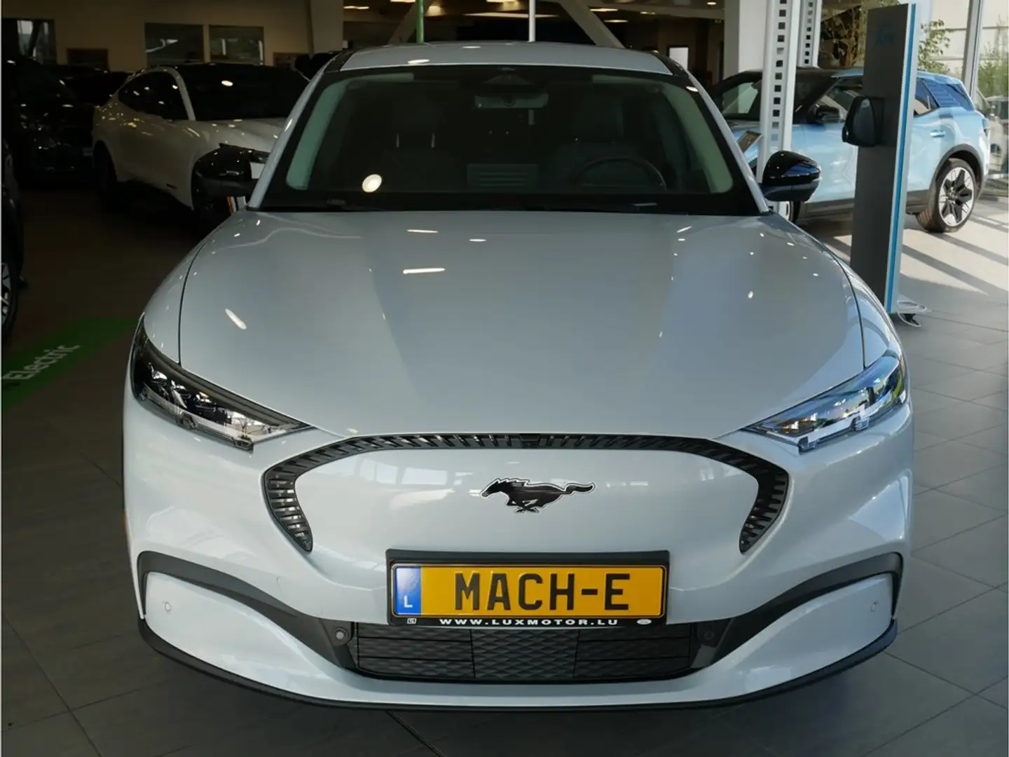 Ford Mustang Mach-E Base 72kWh Standard Range LFP 269ch/198kW - A1 Blanc - 1