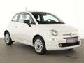 Fiat 500 Dolcevita Komfort-Paket|PDC|Bluetooth|DAB+ Weiß - thumbnail 4