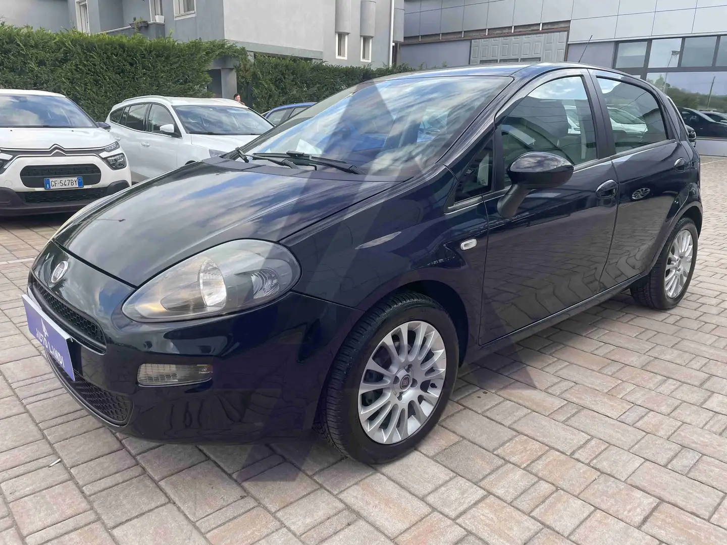 Fiat Punto Punto 5p 1.3 mjt 16v Easy 75cv Bleu - 1