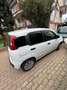 Fiat Panda Pop 1.3 multijet Bianco - thumbnail 7
