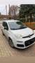 Fiat Panda Pop 1.3 multijet Bianco - thumbnail 1