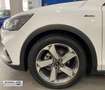 Ford Focus 1.0 Ecoboost MHEV Active 125 Blanco - thumbnail 14