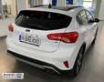 Ford Focus 1.0 Ecoboost MHEV Active 125 Blanco - thumbnail 2