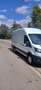 Ford Transit FT 350 L4 Van Trend Tracción Trasera 130 Trend Blanco - thumbnail 1