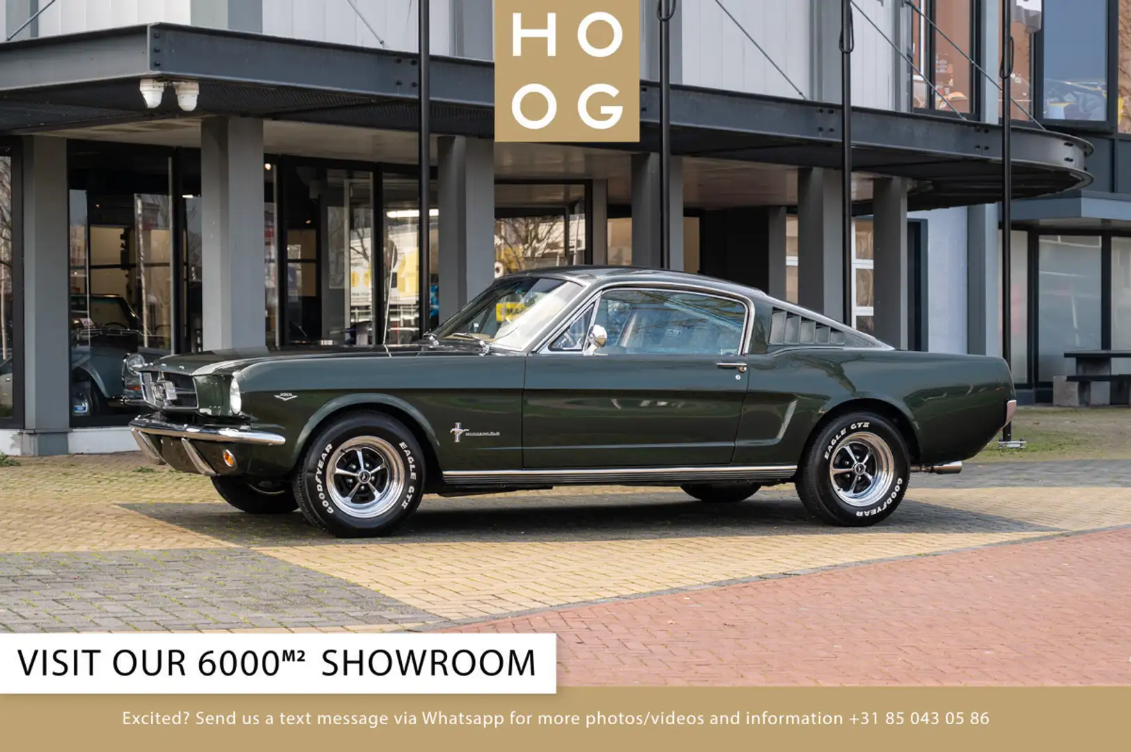 Ford Mustang 289 Fastback Vert - 1