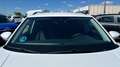 Volkswagen T-Roc 1.0 TSI 81KW ADVANCE R-LINE 110 5P Blanco - thumbnail 25