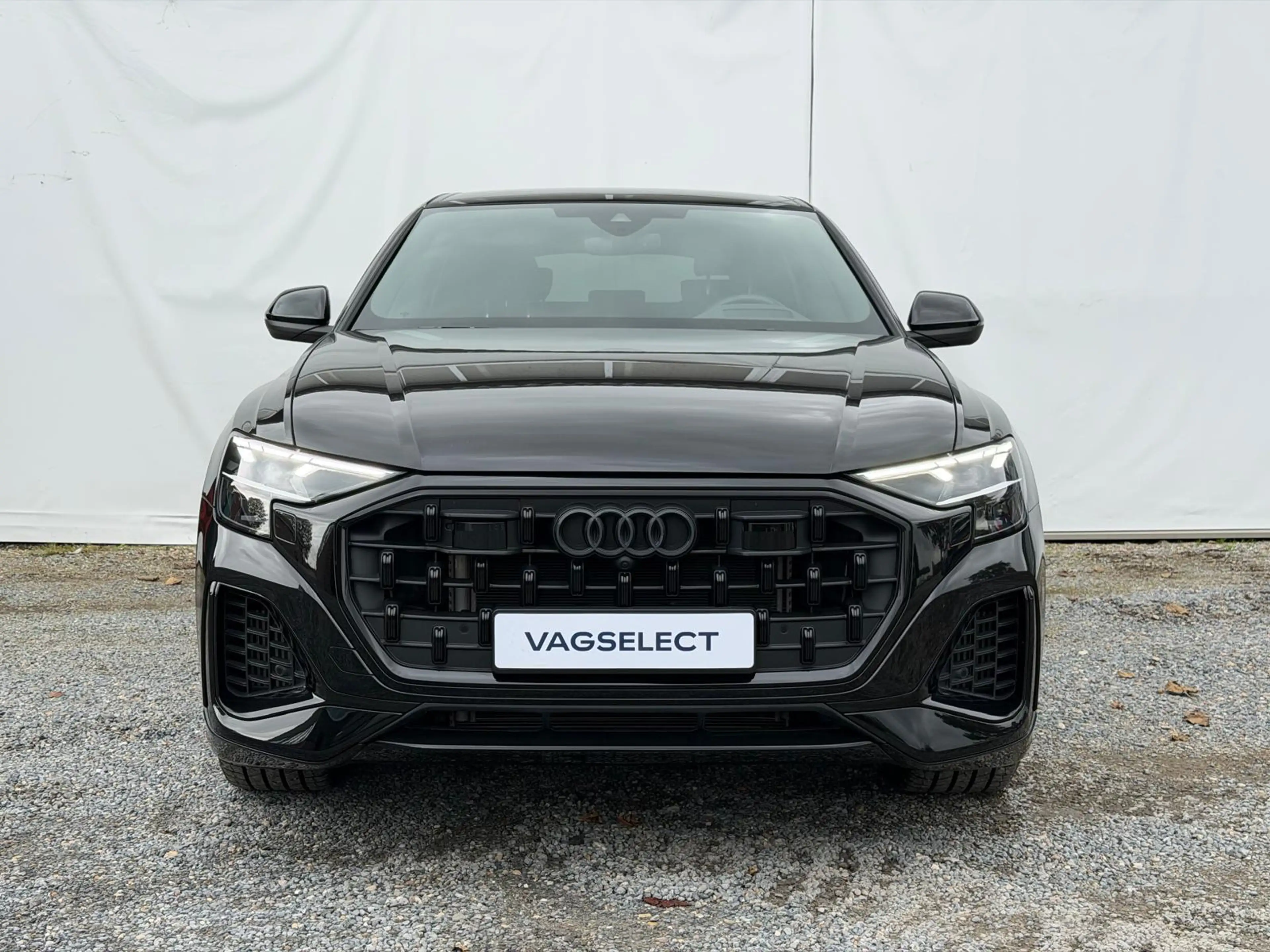 Audi Q8 55 TFSI e quattro Pro Line | Trekhaak | Memory | H — photo 6