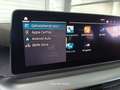 BMW 530 e AUT PHEV Luxery Bus. *Harman Kardon* Grigio - thumbnail 13