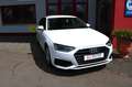 Audi A4 Avant 35 TDI basis*LED*SPOSI Weiß - thumbnail 4