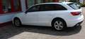 Audi A4 Avant 35 TDI basis*LED*SPOSI Weiß - thumbnail 3