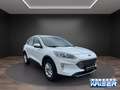 Ford Kuga PHEV Titanium ACC AHK schwenkbar HUD Soundsystem Weiß - thumbnail 7