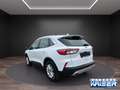 Ford Kuga PHEV Titanium ACC AHK schwenkbar HUD Soundsystem Weiß - thumbnail 4