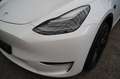 Tesla Model Y Long Range AWD *20-Zoll* Wit - thumbnail 13