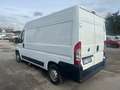 Fiat Ducato 35 2.3 MJT PM-TM Furgone Bianco - thumbnail 4