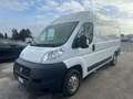 Fiat Ducato 35 2.3 MJT PM-TM Furgone Bianco - thumbnail 1