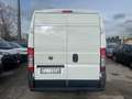 Fiat Ducato 35 2.3 MJT PM-TM Furgone Bianco - thumbnail 5