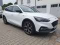 Ford Focus Turnier Active Vignale Navi Allwett. Leder Weiß - thumbnail 7
