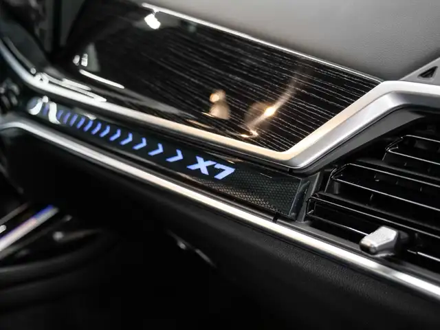 BMW X7 view 22