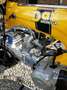 Skyteam Dax 125 Moteur Daytona animal 190CC žuta - thumbnail 4