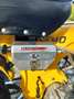 Skyteam Dax 125 Moteur Daytona animal 190CC Жовтий - thumbnail 6