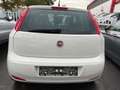 Fiat Punto 1.2 Weiß - thumbnail 5