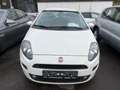 Fiat Punto 1.2 Weiß - thumbnail 1