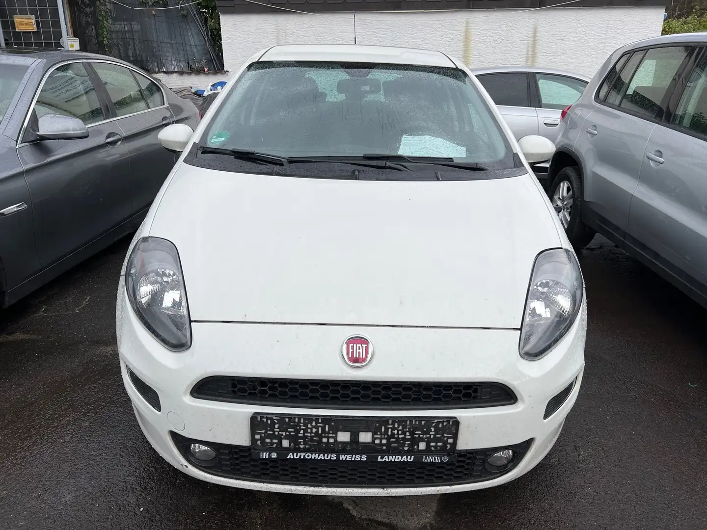 Fiat Punto 1.2 White - 1