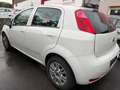 Fiat Punto 1.2 Weiß - thumbnail 4