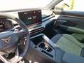 CUPRA Terramar VZ 2.0 TSI 4Drive ACC*DCC*AHK*SHZ*Pano* Gris - thumbnail 8