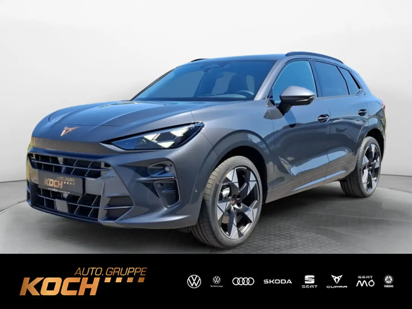 CUPRA Terramar VZ 2.0 TSI 4Drive ACC*DCC*AHK*SHZ*Pano* Grau - 1