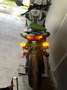 Kawasaki Z 800 Z800 abs Green - thumbnail 3