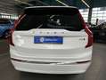 Volvo XC90 XC90 B5 AWD 7S Plus-Bright Aut Glasd 21'' 360° AHK Weiß - thumbnail 19