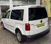 Volkswagen Caddy 1,4*BiFuel*TGI*Trendline*Scheckheft* Blanc - thumbnail 4