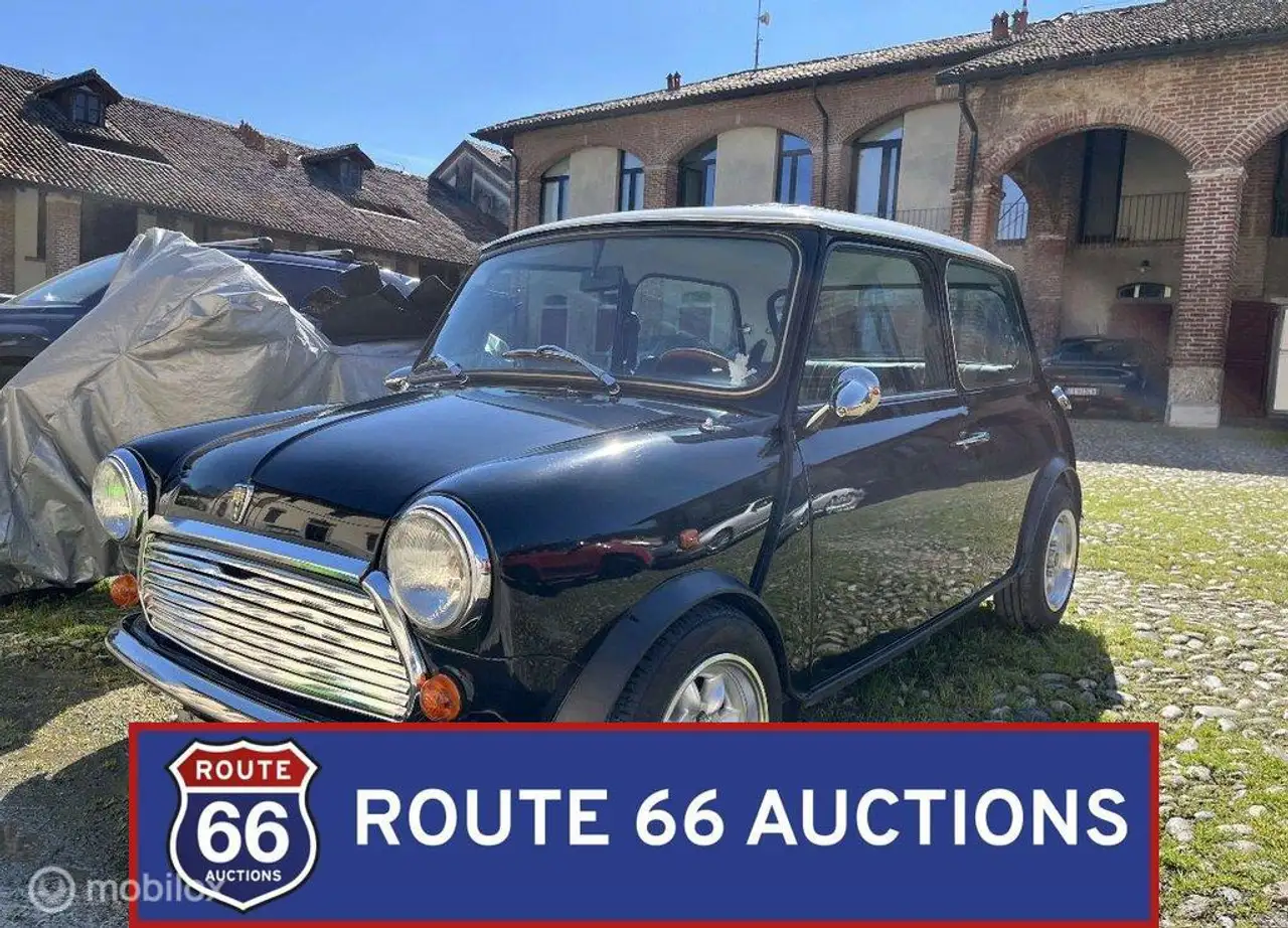 Rover Mini