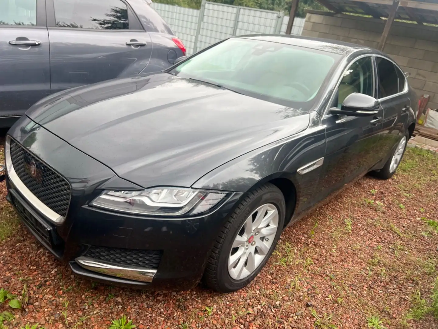 Jaguar XF Prestige AWD/MOTORSCHADEN! Gris - 1