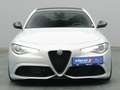 Alfa Romeo Giulia Veloce 209PS Aut. ACC/Panorama/PDC Gris - thumbnail 6