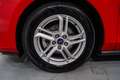 Ford Focus 1.5Ecoblue Trend Edition 95 Rojo - thumbnail 10