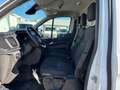 Ford Transit Custom 300 2.0 TDCI MHEV Furgone Ch1 Bianco - thumbnail 11