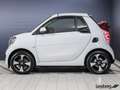 smart forTwo ForTwo Cabriolet EQ Passion LED/22 kW/DAB/Kamera Weiß - thumbnail 3