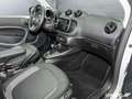 smart forTwo ForTwo Cabriolet EQ Passion LED/22 kW/DAB/Kamera Weiß - thumbnail 13