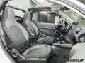 smart forTwo ForTwo Cabriolet EQ Passion LED/22 kW/DAB/Kamera Weiß - thumbnail 12