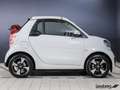 smart forTwo ForTwo Cabriolet EQ Passion LED/22 kW/DAB/Kamera Weiß - thumbnail 4