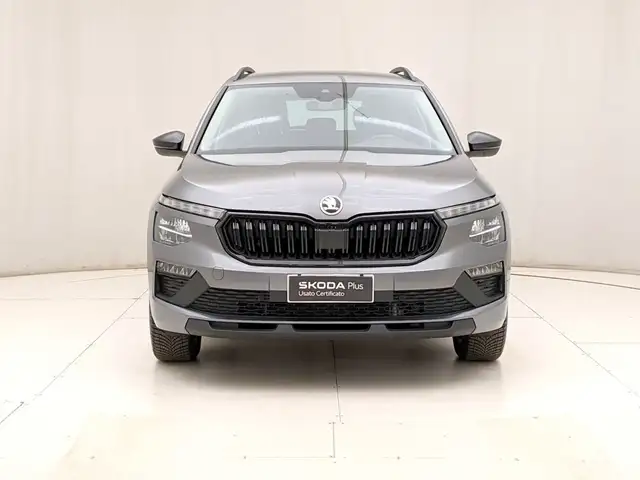 Skoda Kamiq view 2