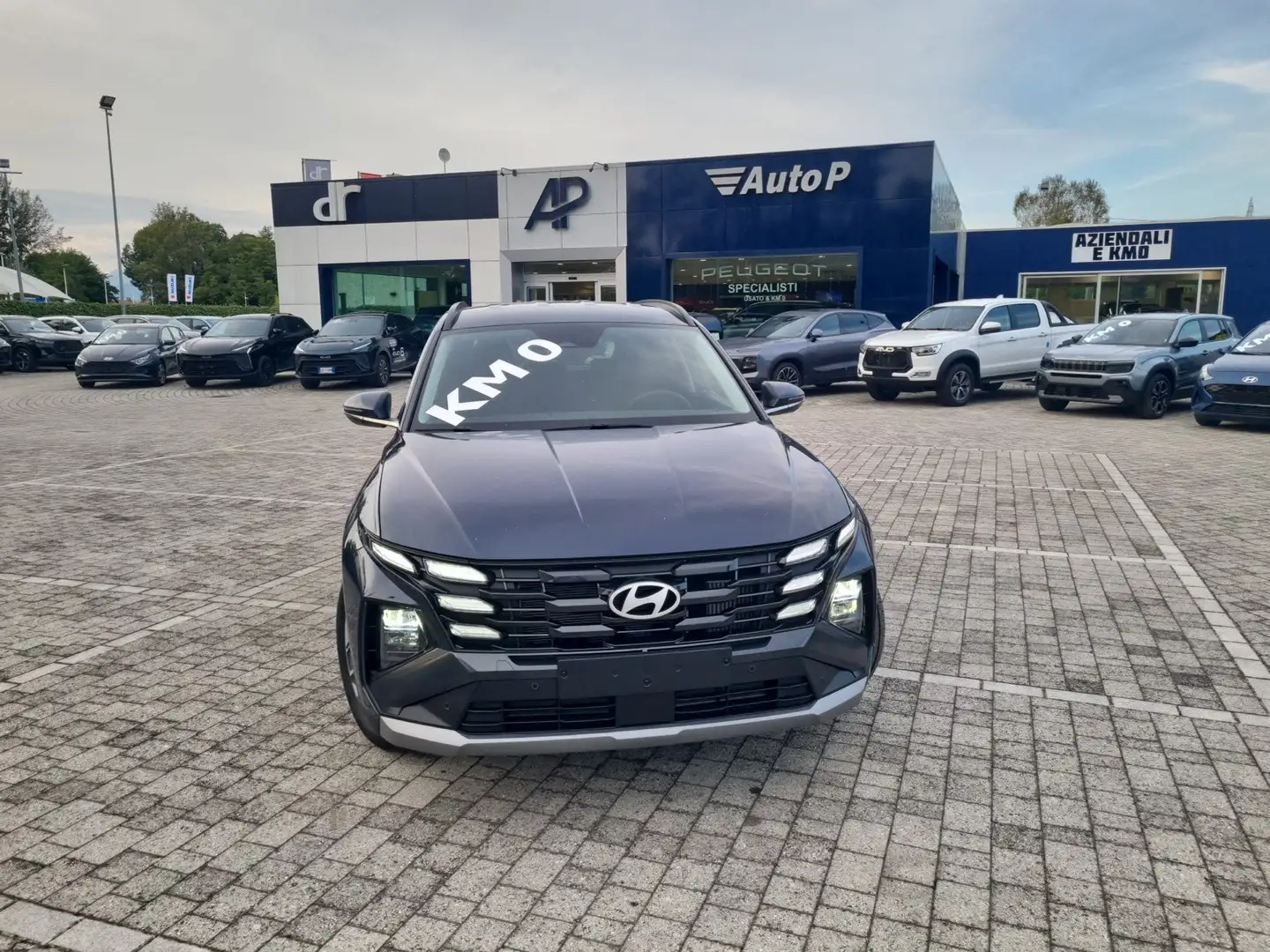 Hyundai TUCSON Tucson 1.6 CRDI 48V DCT Business - KM0 Blu/Azzurro - 2