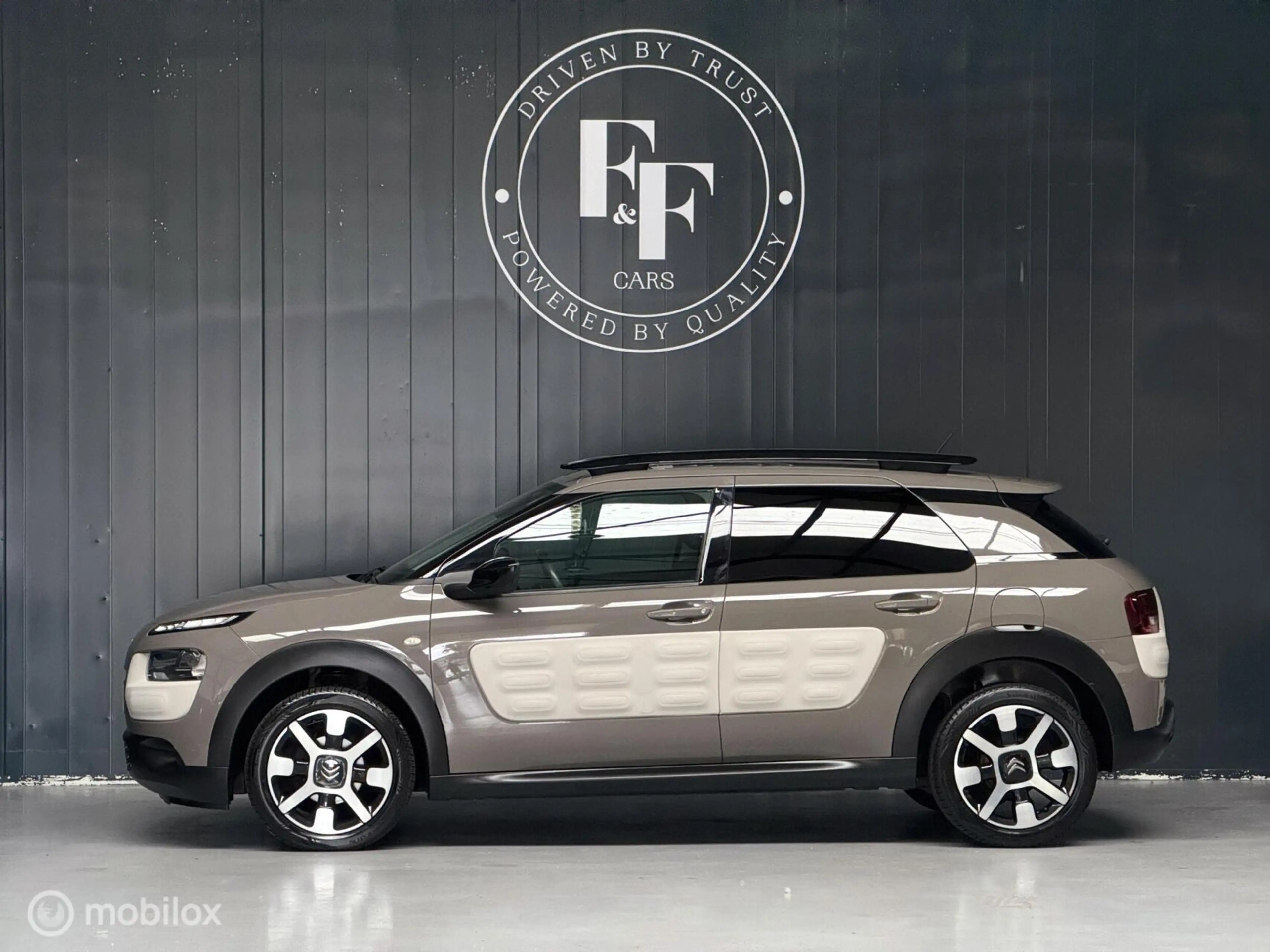 Citroen C4 Cactus 1.2 PureTech Shine — photo 15