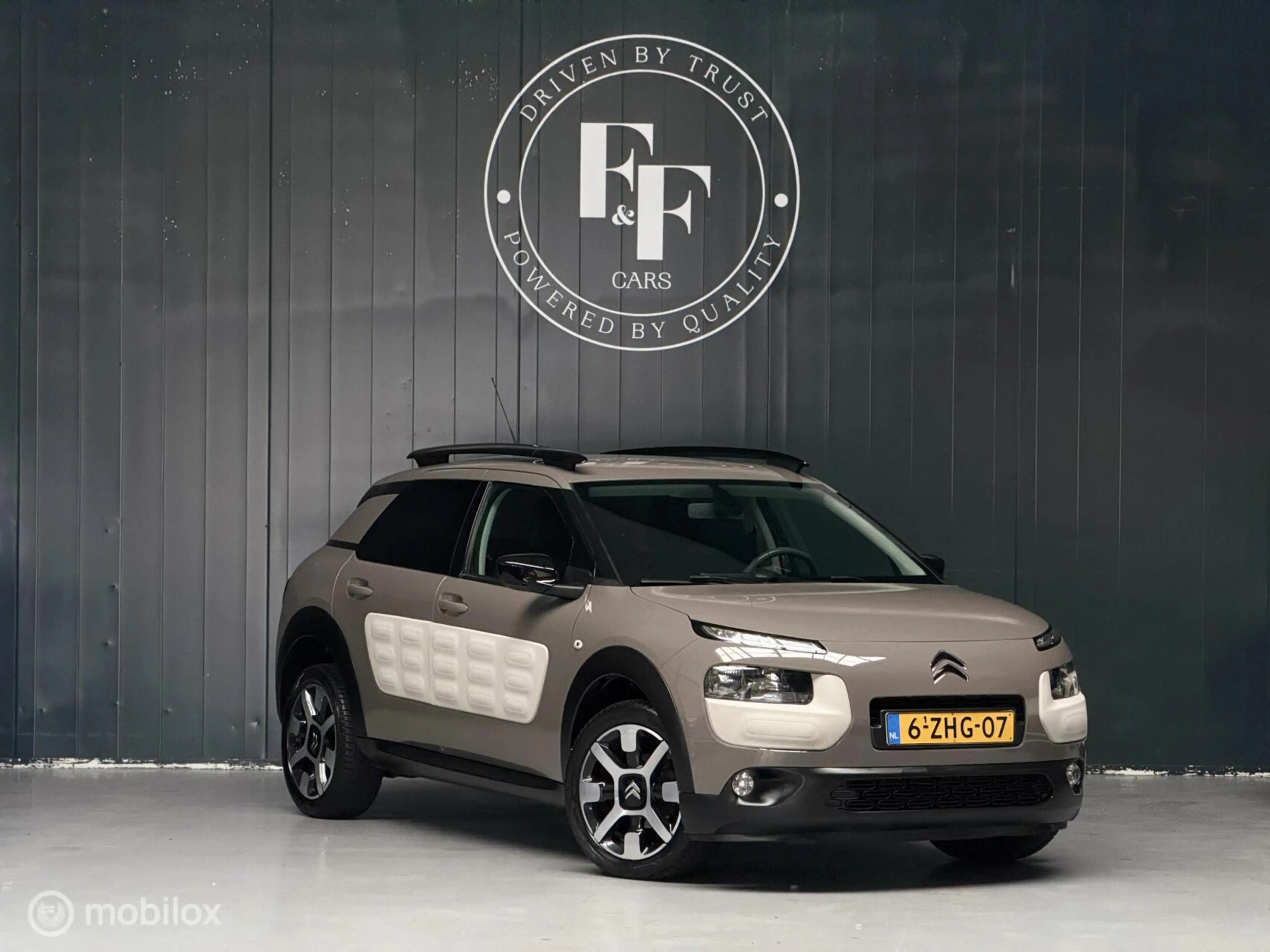 Citroen C4 Cactus 1.2 PureTech Shine — photo 8