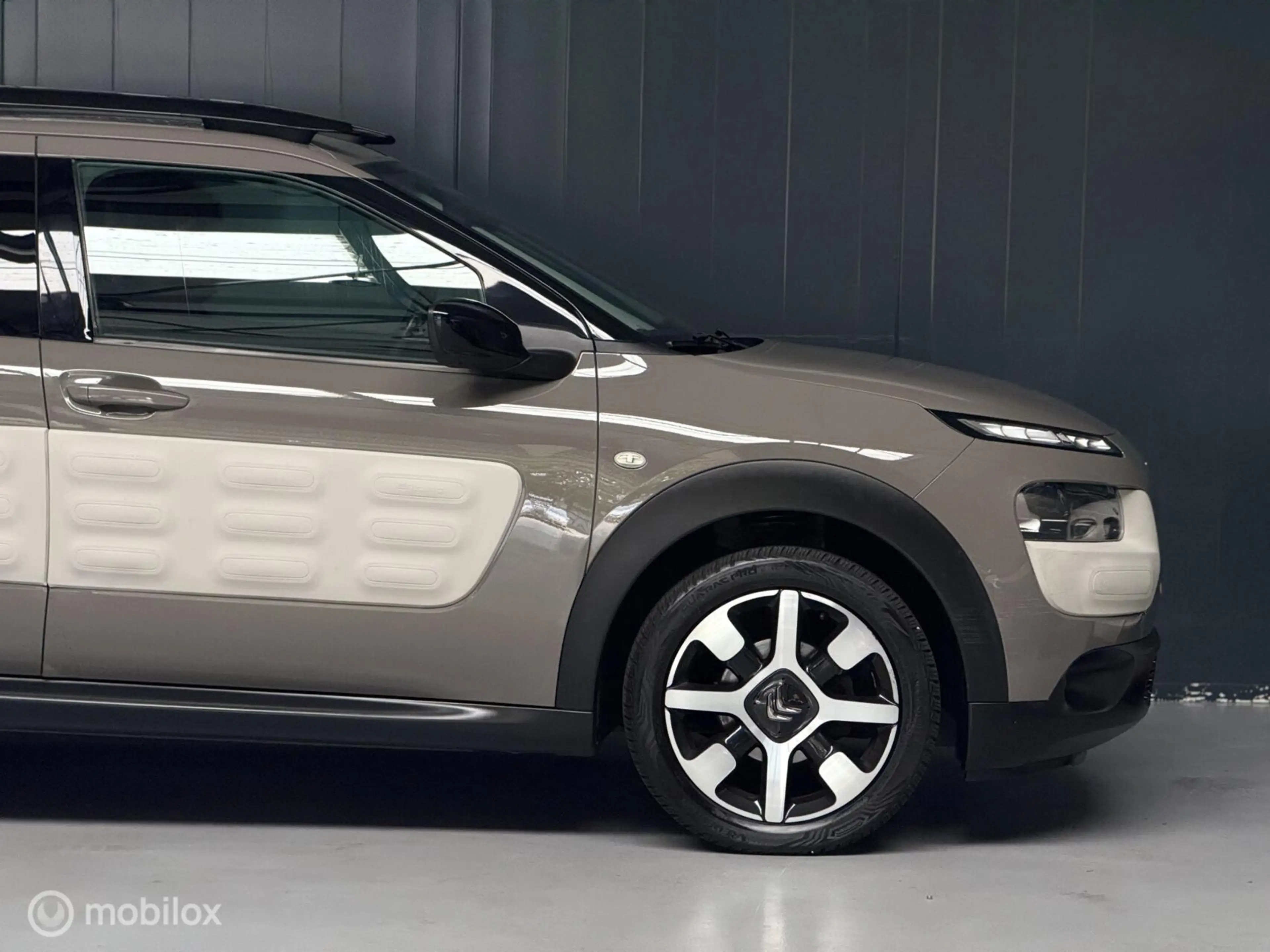 Citroen C4 Cactus 1.2 PureTech Shine — photo 12