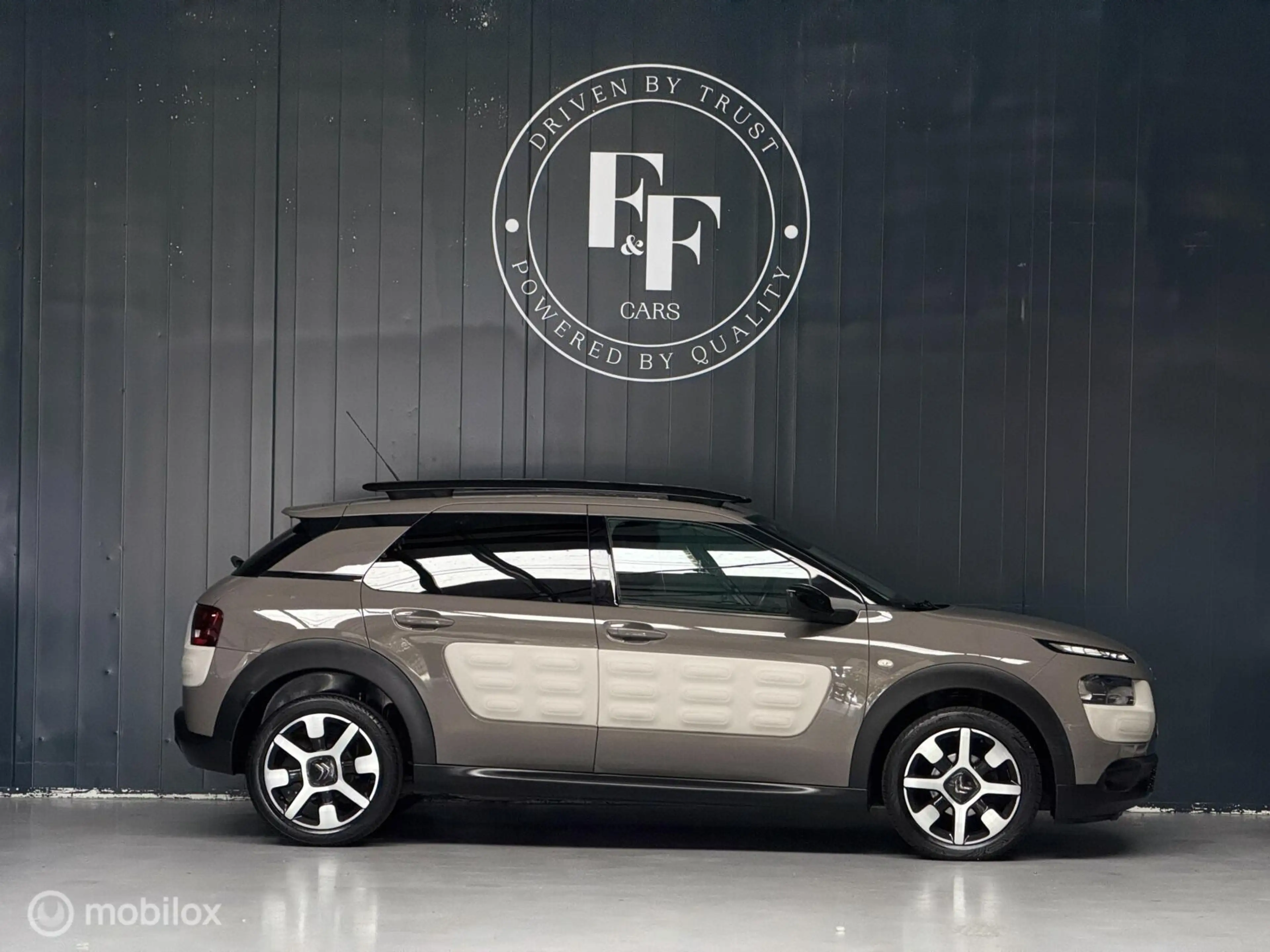 Citroen C4 Cactus 1.2 PureTech Shine — photo 11