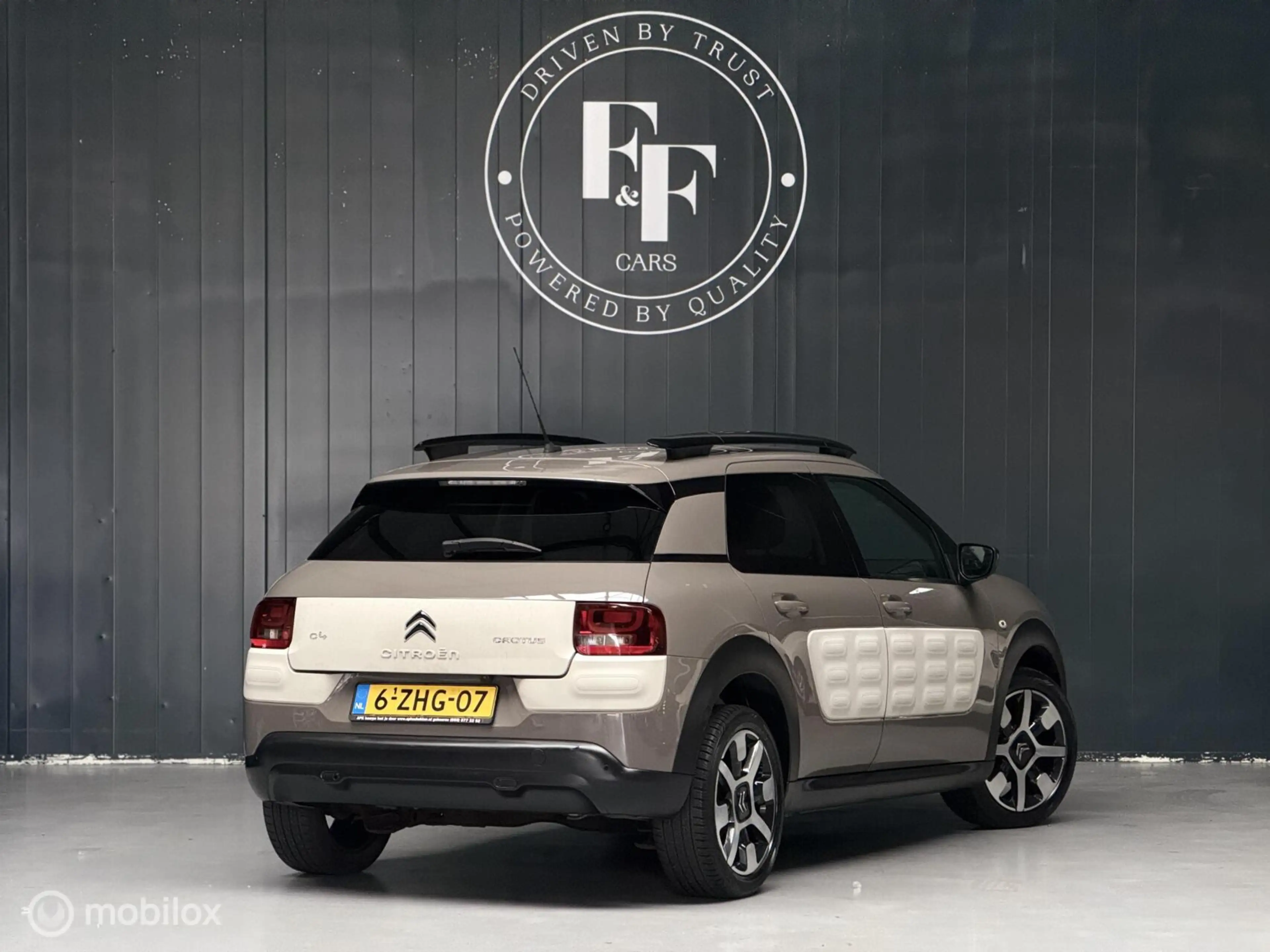 Citroen C4 Cactus 1.2 PureTech Shine — photo 18